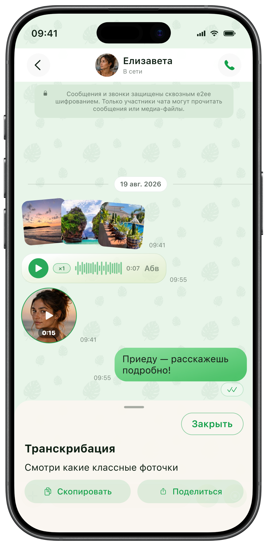 Тема Monstera